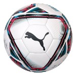 teamFINAL 21.2 FIFA Quality Pro Ball Pum