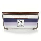 CANDLE WW TRILOGY ELLIPSE EVENING LUXE 1743624E